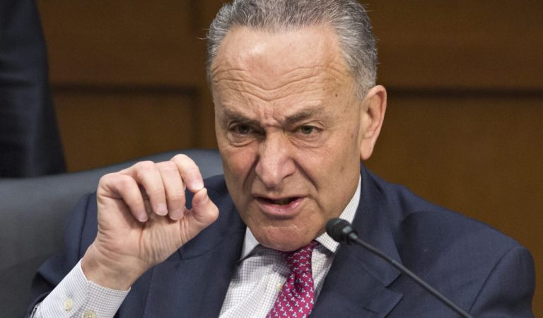 Sen. Chuck Schumer Just Turned On His Own Party and Threw Clinton Under the Bus!