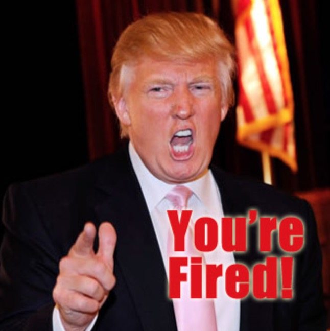 trump youre fired