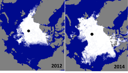 polar ice caps growing